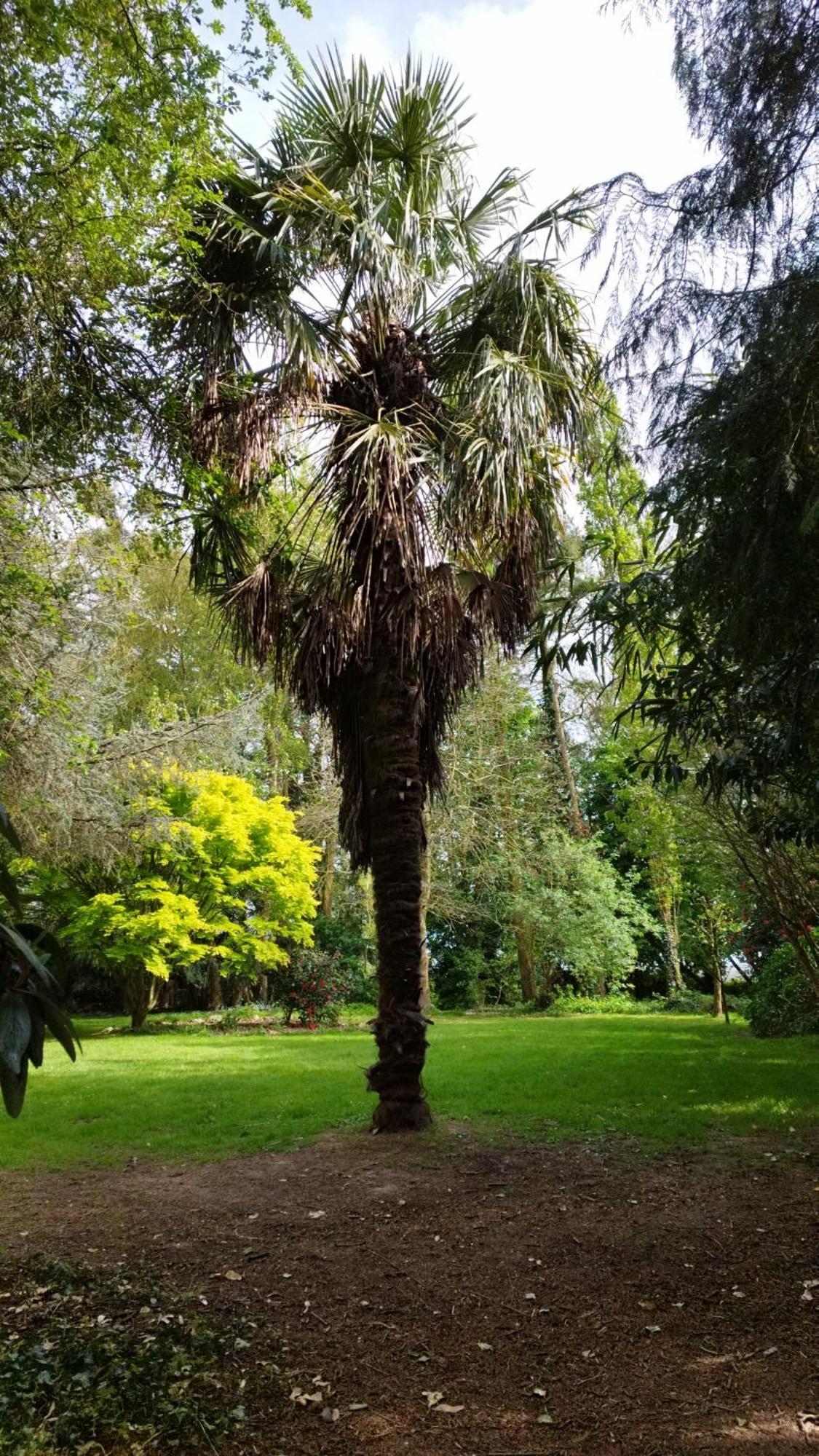 La Suite D'Anna Rohan Exterior foto